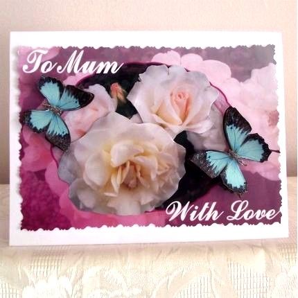 Mums Rose 445 by Terri Hawley