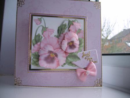 Faces of Spring by Thelma Bayles
