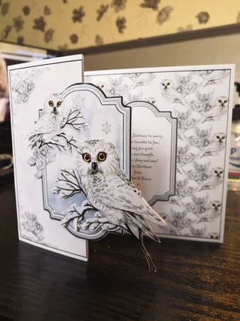 Winter Owl Fold Back Card Kit-2 by Thelma Reynolds