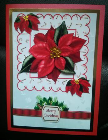 Pretty Red Poinsettia with Bow & Holly by Thelma Reynolds