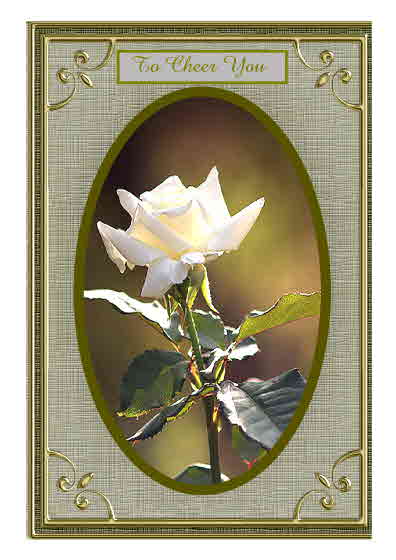 Foldback White Rose Card by Therese Eke