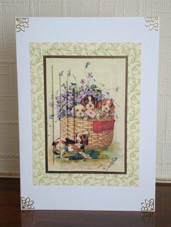 Basket Full of Dogs Pyrimage by tina bing