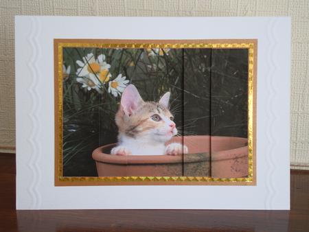 Cute Kitten in a Plant Pot Side Stacker by tina bing