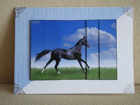 Black Galloping Horse Side Stacker by tina bing