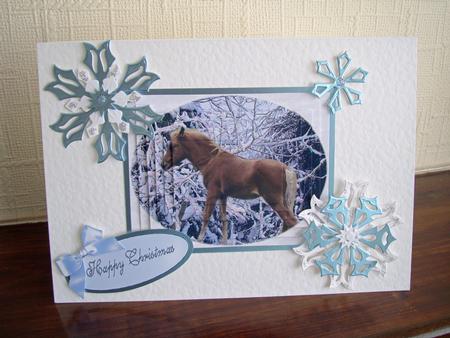 Pony in the Snow Pyramid by tina bing