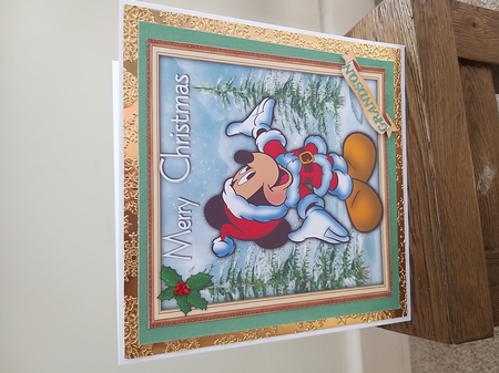 Mickys Christmas Wishes by Tina Fair