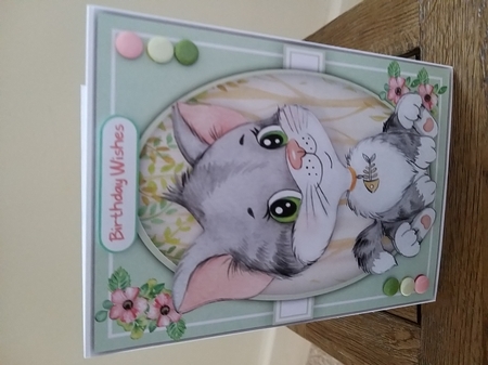 A5 , Gorgeous Kitty Cat by Tina Fair