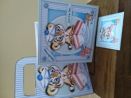 7X7 Mini Kit, Gorgeous Tiger in a Boat by Tina Fair