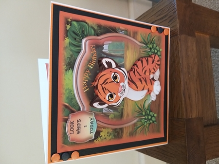 Birthday Tiger for ages 1-4 by Tina Fair