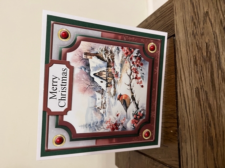 Christmas Bird Winter Scene Topper 6x6 by Tina Fair