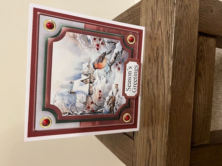 Christmas Bird Winter Scene Topper 6 6x6 by Tina Fair