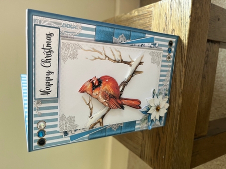 Blue Christmas Card Three  by Tina Fair