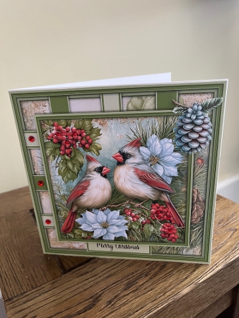 Cardinals - Mini Kit 6x6 by Tina Fair