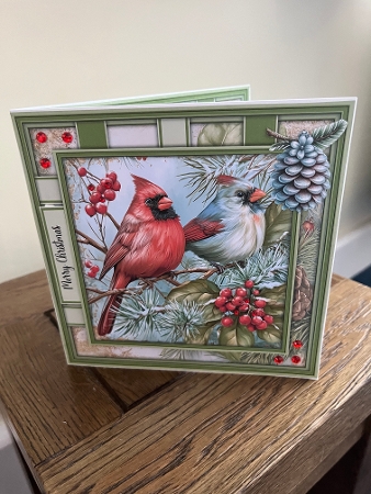 Cardinals - Mini Kit 6x6 by Tina Fair
