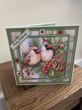 Cardinals - Mini Kit 6x6 by Tina Fair