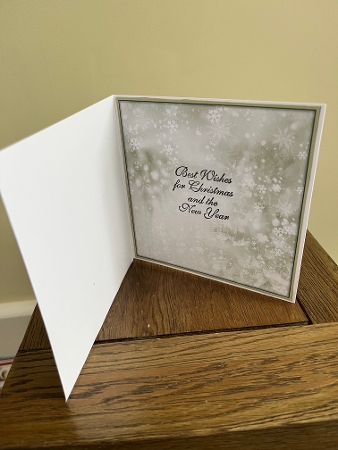 Christmas Cat 1 - Mini Kit 6x6 by Tina Fair