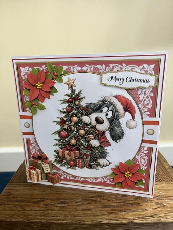 Christmas Tails Featured Gallery Photo