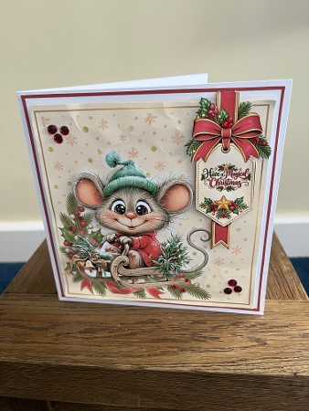 Christmouse Wishes by Tina Fair