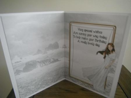 Lady Guinevere (white) Insert by Tina Fair