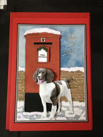 Springer Spaniel Christmas Post Box Scene by Tina James