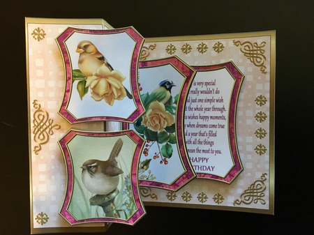 Fold Back Pop-up - Feathered Friends 2 by Tina Orphin