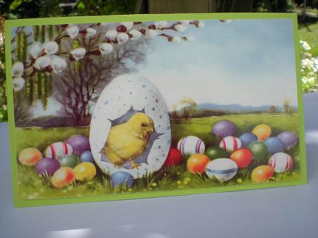 Easter Chicks Duo-deco by Toni Marie Judd