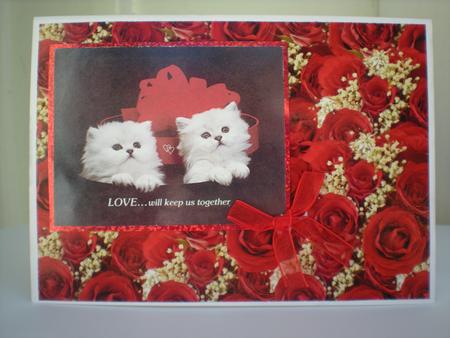 Red Roses and White Babys Breath Background by Toni Marie Judd