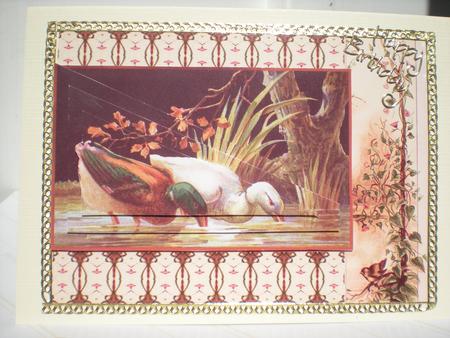 Bird on Vine Border Sheet by Toni Marie Judd