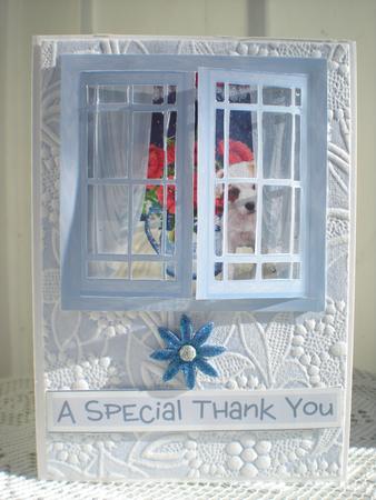 Acetate Open & Shut Windows - Poppies & Puppy Card by Toni Marie Judd