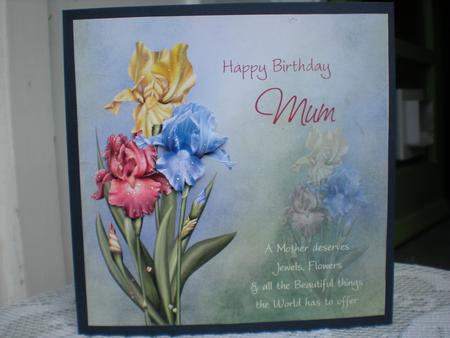 Iris Trio Mum Birthday 8x8 Inch Topper by Toni Marie Judd