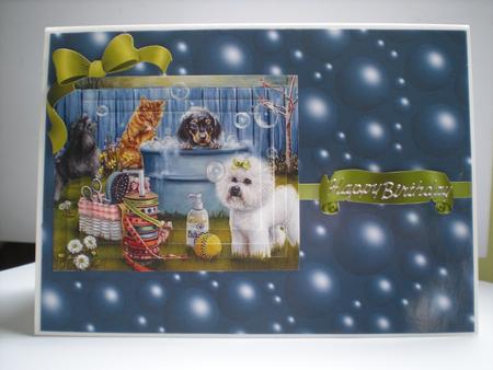 Lovely Bubbly A4 Backing Paper in Blue by Toni Marie Judd