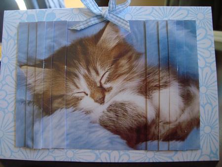 Cat Side Stacker 2 by Toni Marie Judd