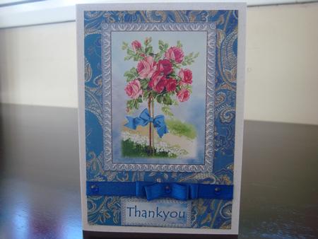 Standard Rose - Thankyou/on Your Birthday by Toni Marie Judd
