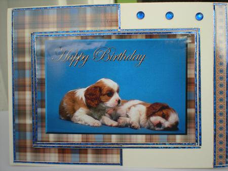 Puppys by Toni Marie Judd