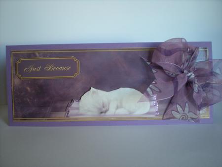 Gorgeous Sleeping Kitten Card Topper by Toni Marie Judd