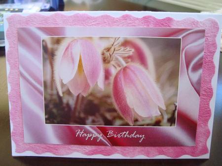 Pink Alpines on Satin, Friend Card by Toni Marie Judd