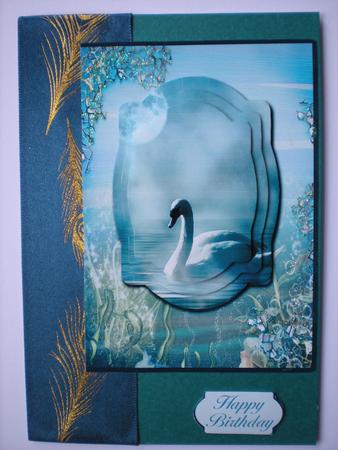 Swan by Moonlight by Toni Marie Judd