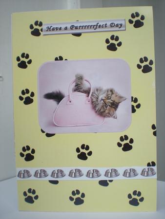 Cat Themed Captions & Borders Silver Grey by Toni Marie Judd