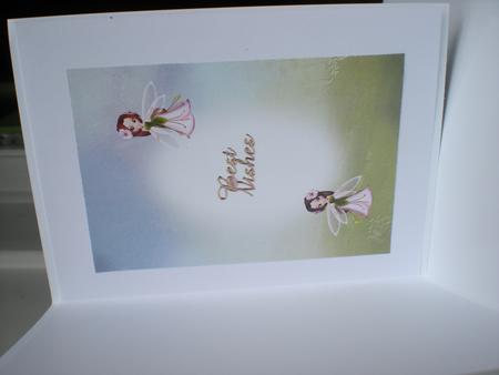 Fairy Insert 1 by Toni Marie Judd