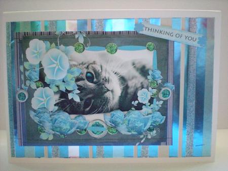 Blue Eyed Beauty - Cat Mini Kit by Toni Marie Judd