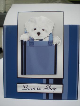 Doggie Bag Quick Card by Toni Marie Judd