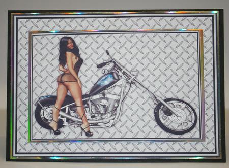 Sexy Biker Chick by Tracey Duckmanton