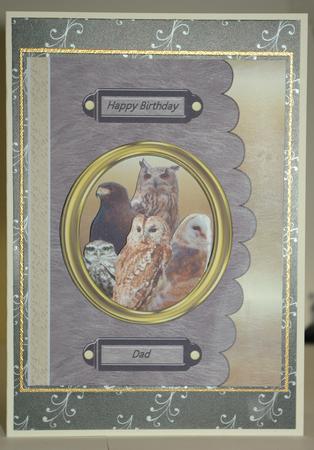 Birds of Prey Step by Step Card Front by Tracey Duckmanton