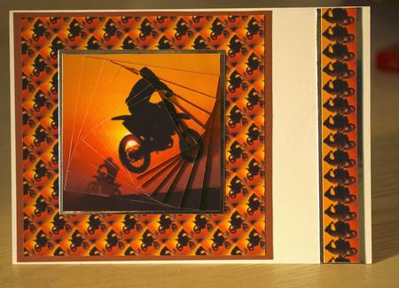 Motor Cross by Tracey Duckmanton
