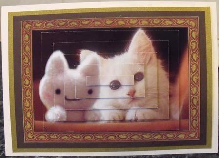 White Kitten & Teddy by Tracey Duckmanton