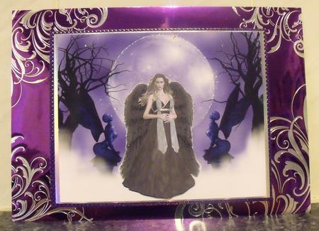 Dark Angel by Tracey Duckmanton