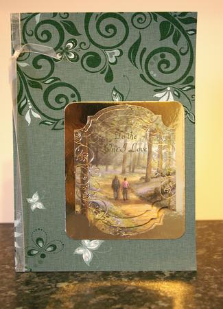 Flourishes & Butterflies Rich Shade A4 Backing Paper by Tracey Duckmanton
