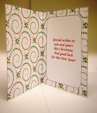 Christmas Swirls Insert with Verse by Tracey Duckmanton