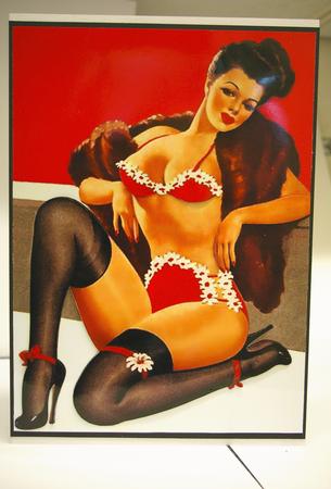 A4 My Pin-up Girl-over the Edge Card by Tracey Duckmanton