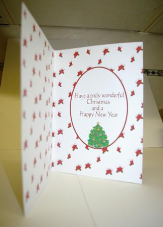 Christmas Insert #19 by Tracey Duckmanton